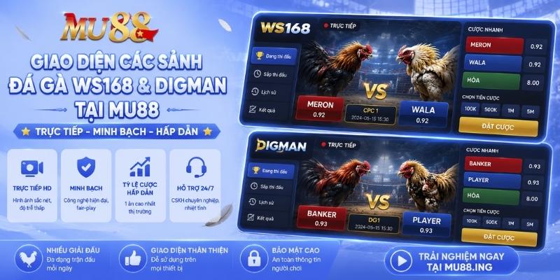 Hướng dẫn cách tham gia chơi đá gà MU88 đơn giản